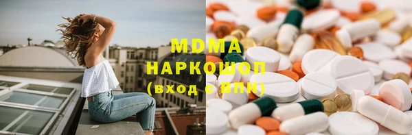 индика Аркадак