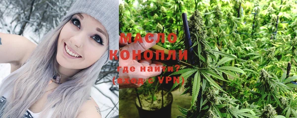 индика Аркадак