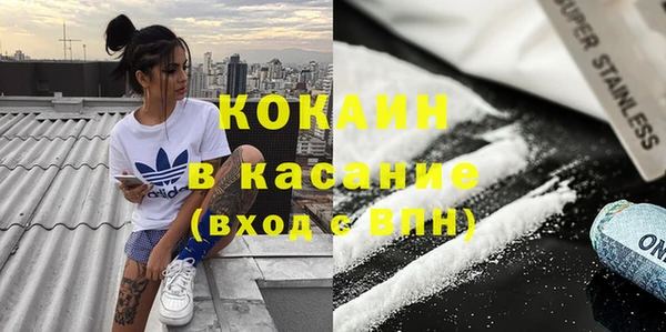 индика Аркадак