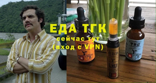 индика Аркадак