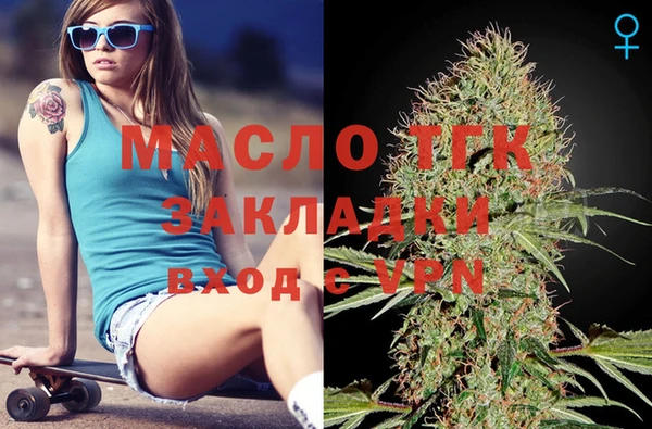 индика Аркадак