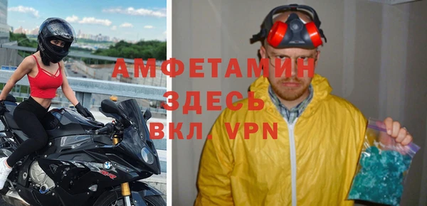 индика Аркадак