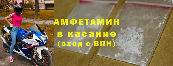 индика Аркадак