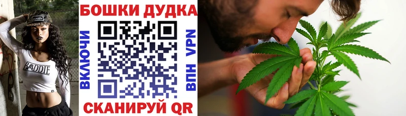 Бошки Шишки Amnesia Полевской